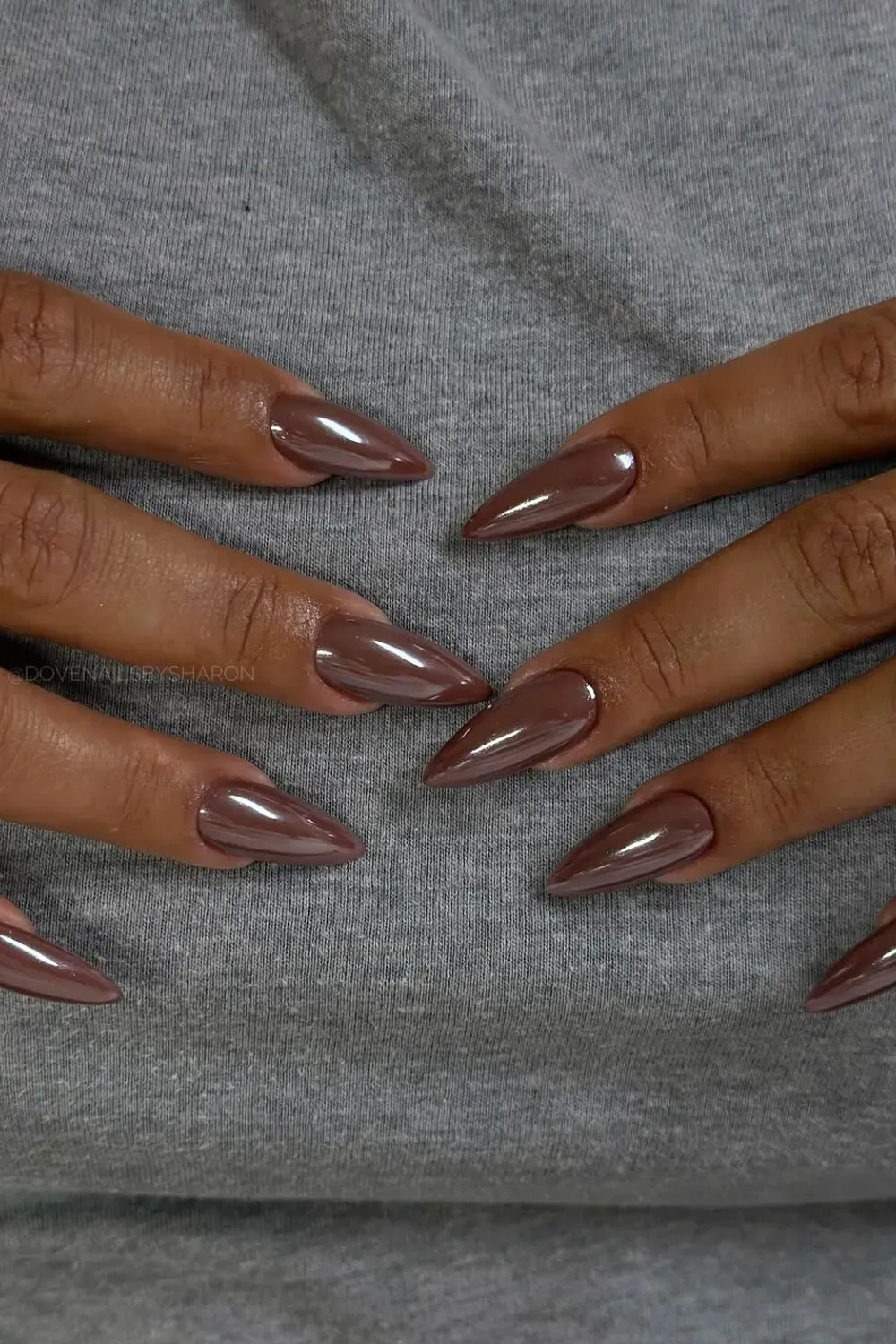 Dark Brown Chrome Stiletto Nails	Close-up of stiletto-shaped nails covered in a flawless, mirror-shine dark chocolate brown chrome.