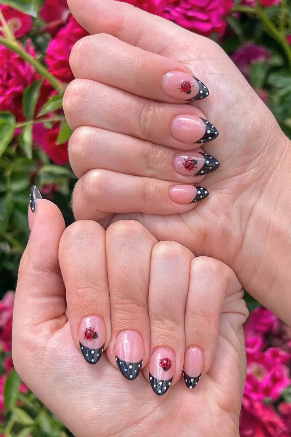 Pink Ladybug French Tip Nails-: Almond nails with a pink base, black french tips with white dots, and small red ladybug nail art.