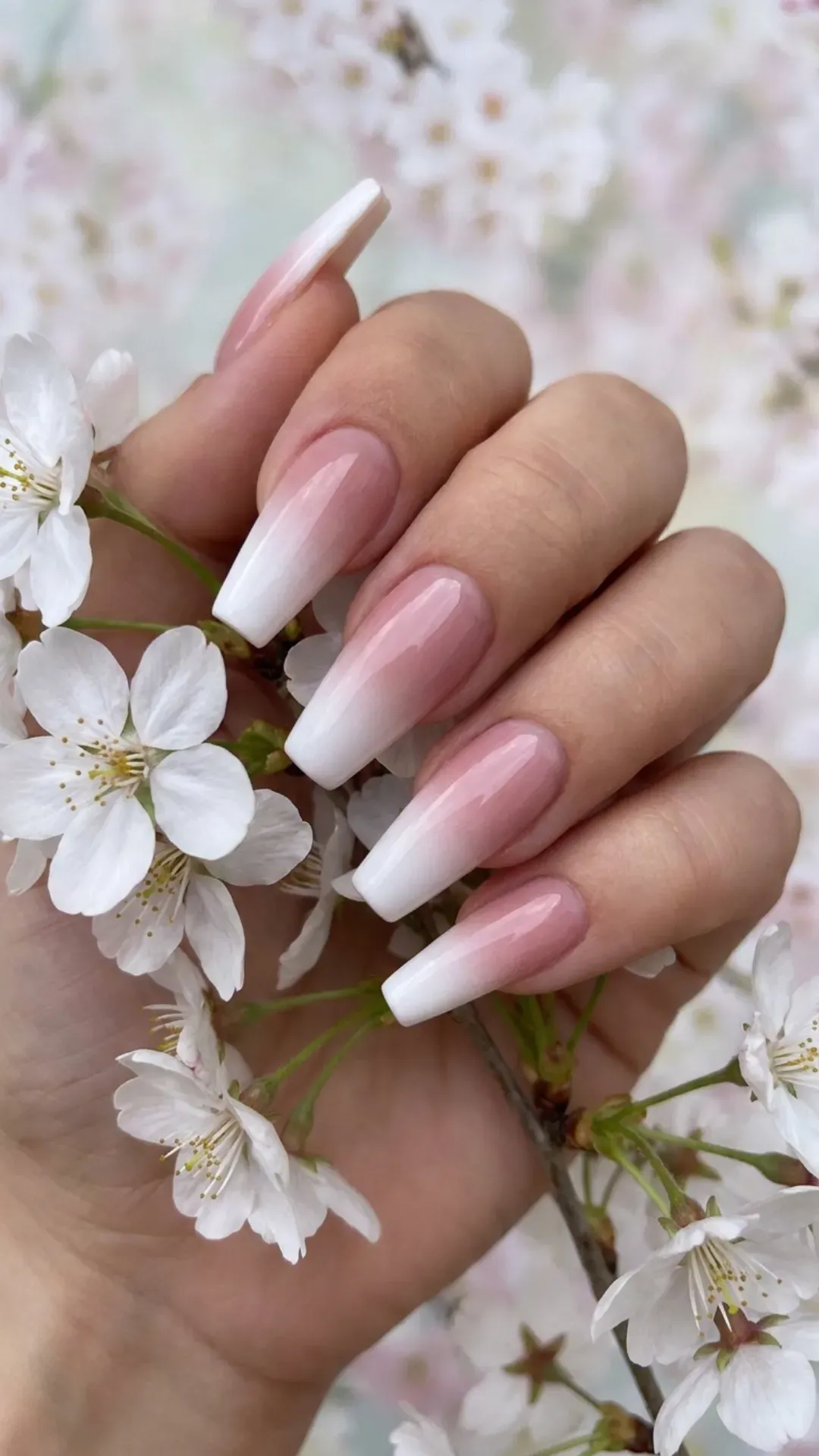 Classic coffin nail design with a modern twist, showcasing a smooth French ombre transition from white tips to a natural pink base, embodying a timeless and sophisticated spring nail style