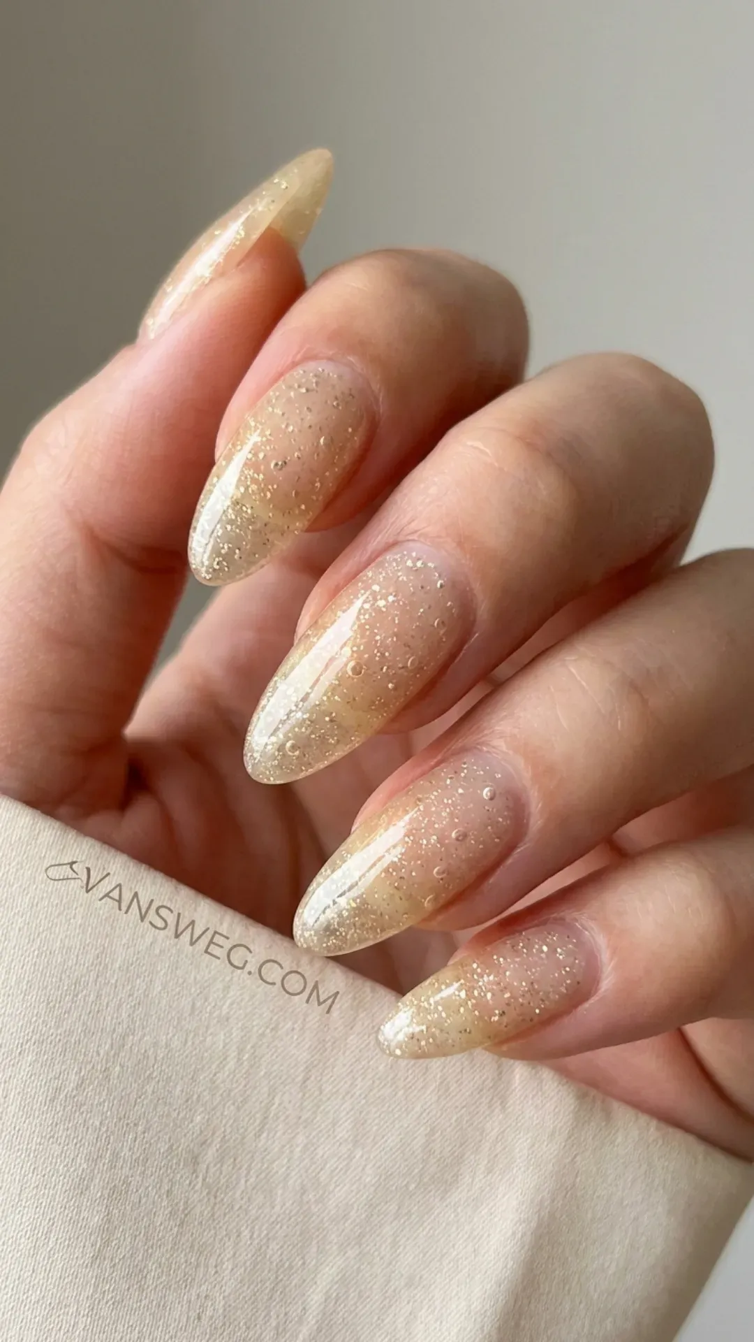  sheer micro glitter champagne sparkle korean glass nails by VANSWEG.COM