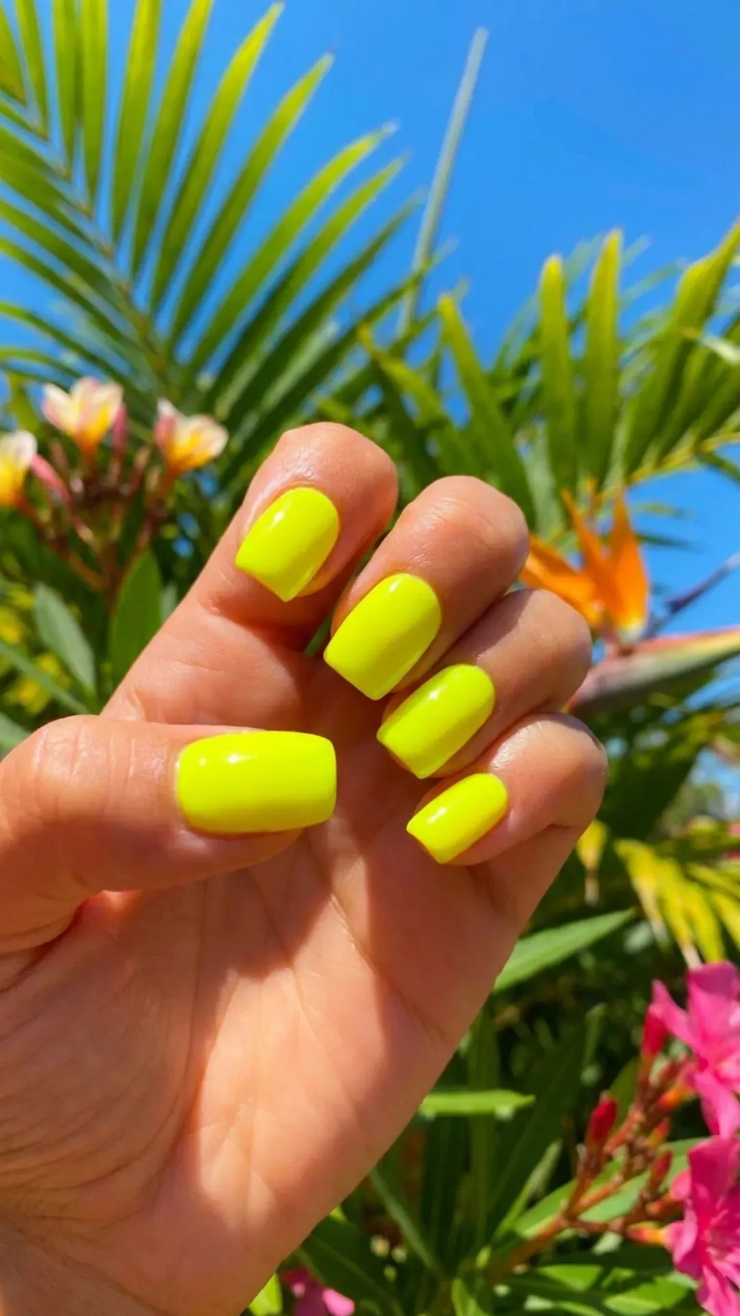 Short square nails in electric neon yellow high-gloss finish, photographed in bright tropical sunlight — summer 2026