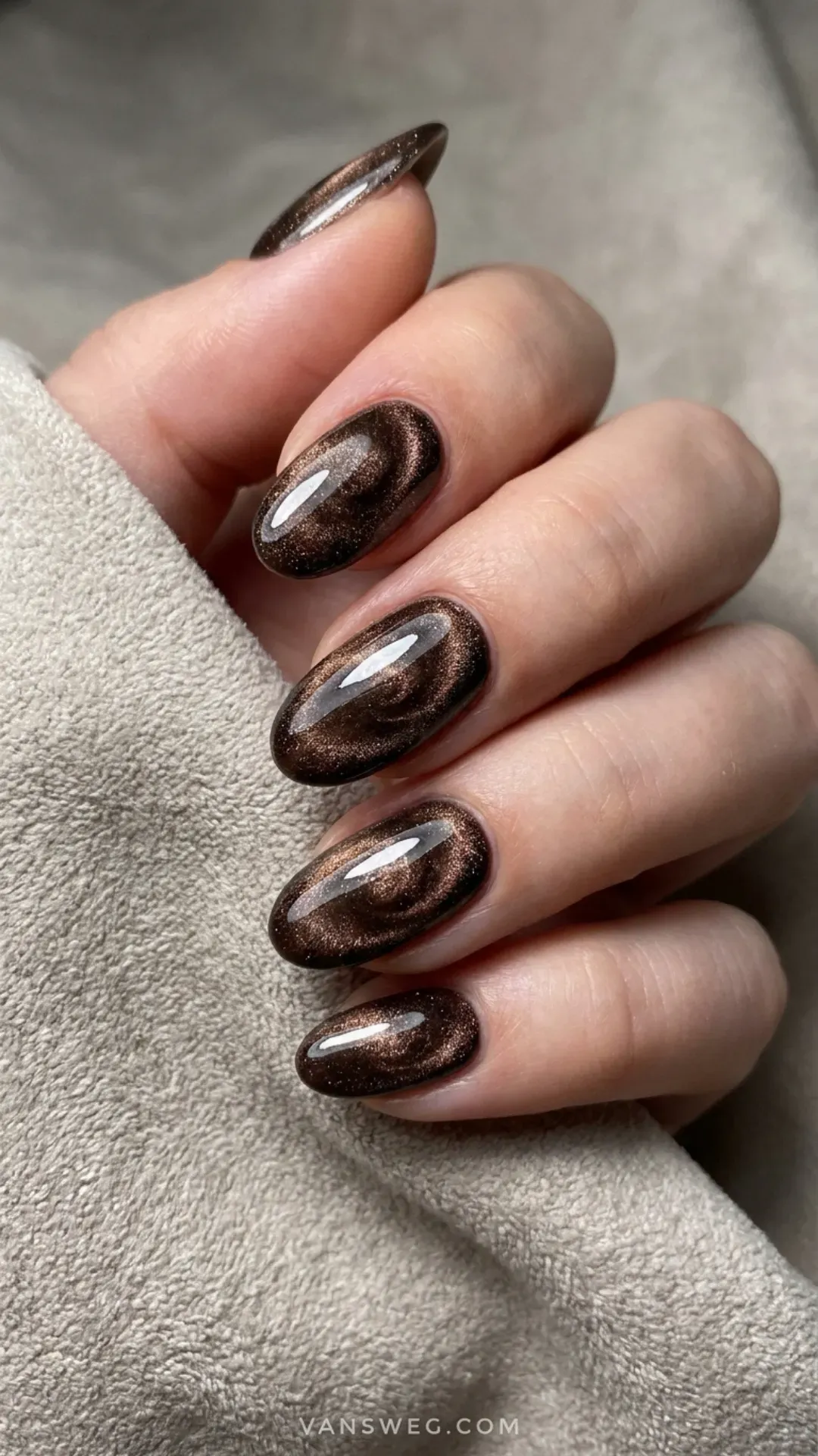  velvet espresso glazed nails magnetic brown polish by VANSWEG.COM